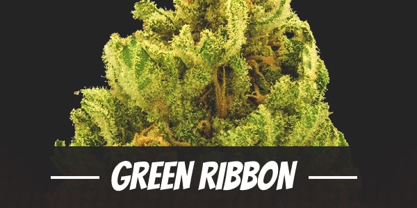 Green Ribbon