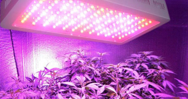 The advantages and disadvantages of using LED lights
