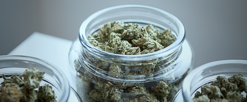 marijuana in a jar
