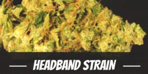 Headband Strain
