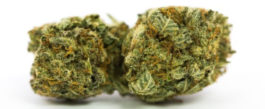 High Noon Irish Cream Medical