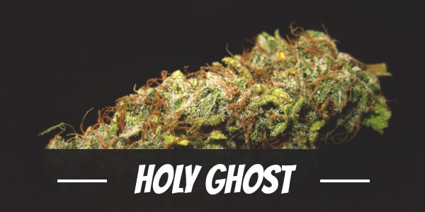 Holy Ghost