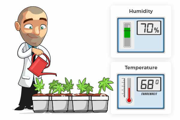 Correct Temperature and Humidity