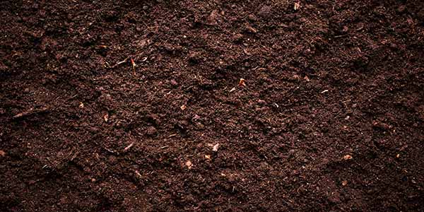 The composition of soil
