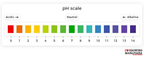 pH scale growing marijuana