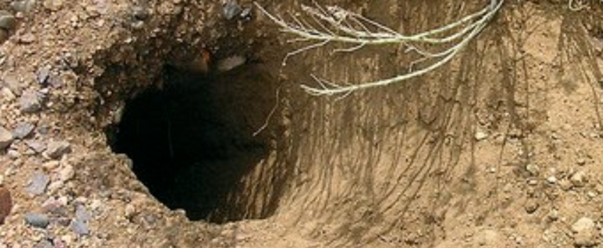 rabit hole