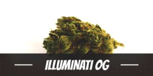 Illuminati OG