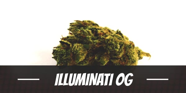 Illuminati OG