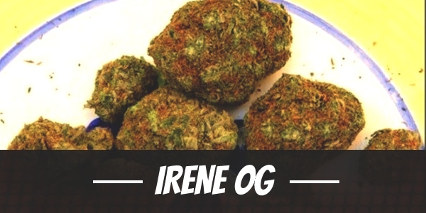 Irene OG