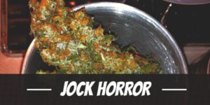 Jock Horror