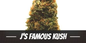 J’s Famous Kush