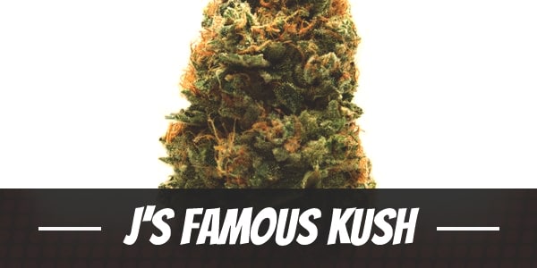 J’s Famous Kush