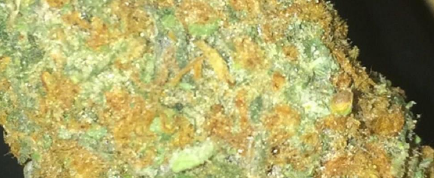 Juicy Fruit