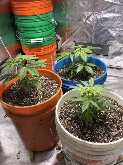 they’re looking