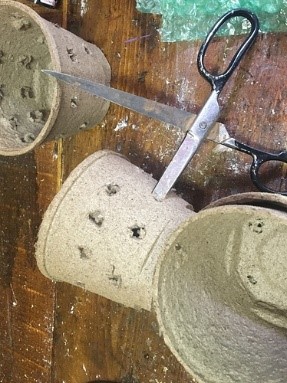 the pots