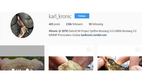 Karl Kronic