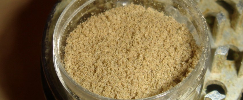 Kief