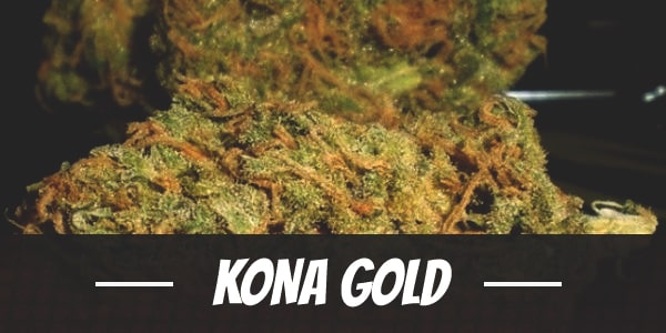 Kona Gold