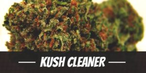Kush Cleaner