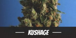 Kushage
