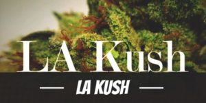 LA Kush
