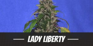 Lady Liberty