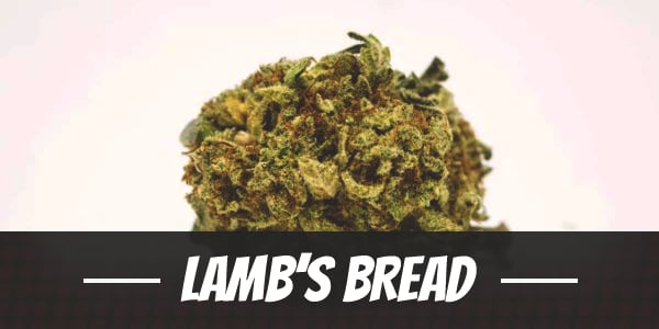Lamb’s Bread
