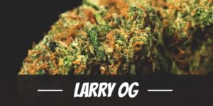 Larry OG