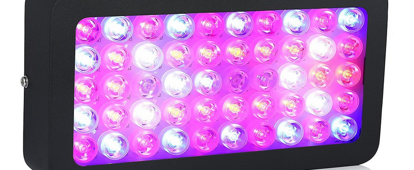 LED Grow Light