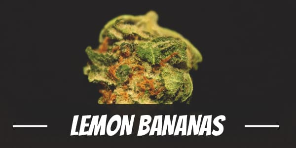 Lemon Bananas