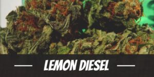 Lemon Diesel