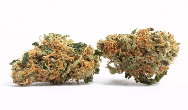 Liberty Haze Strain Effects