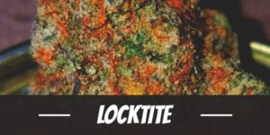Locktite