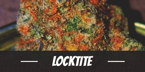 Locktite