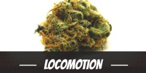 Locomotion