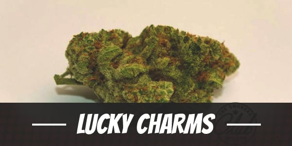 Lucky Charms