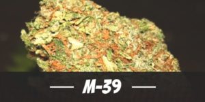 M-39