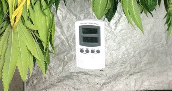 Maintain the right temperature and humidity while drying