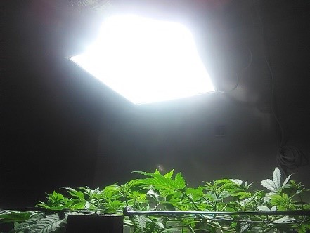 16 1000W