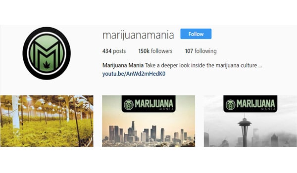 Marijuana Mania