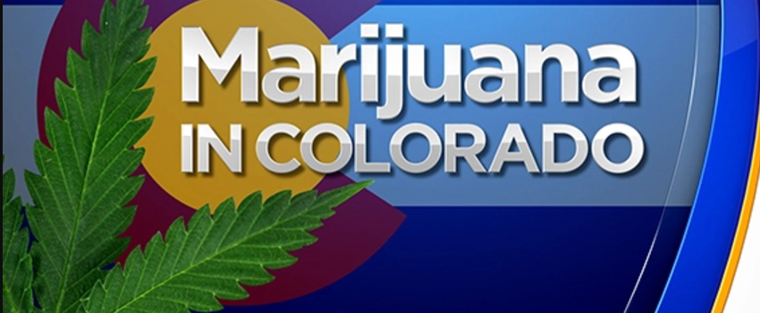 Marijuana in colorado