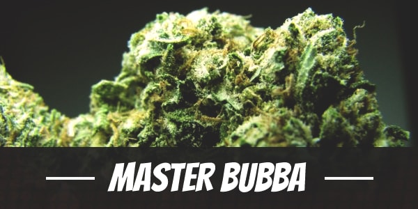 Master Bubba