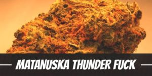 Matanuska Thunder Fuck