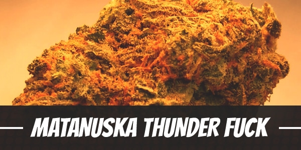 Matanuska Thunder Fuck