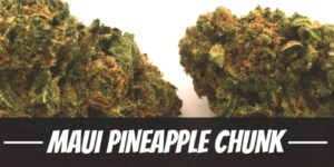 Maui Pineapple Chunk