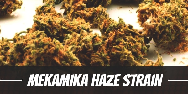 Mekamika Haze Strain