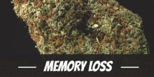 Memory Loss