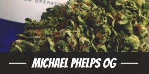 Michael Phelps OG