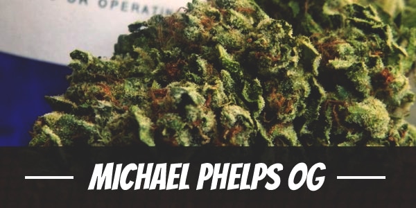 Michael Phelps OG