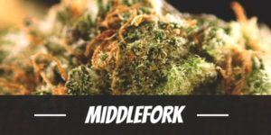 Middlefork